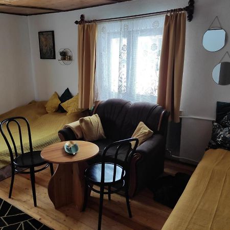Home Stay Slotwinska Krynica Zdroj Luaran gambar