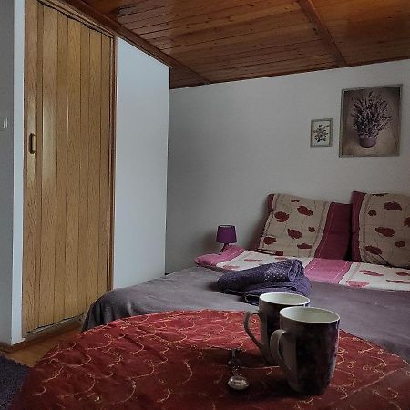 Home Stay Slotwinska Krynica Zdroj Luaran gambar