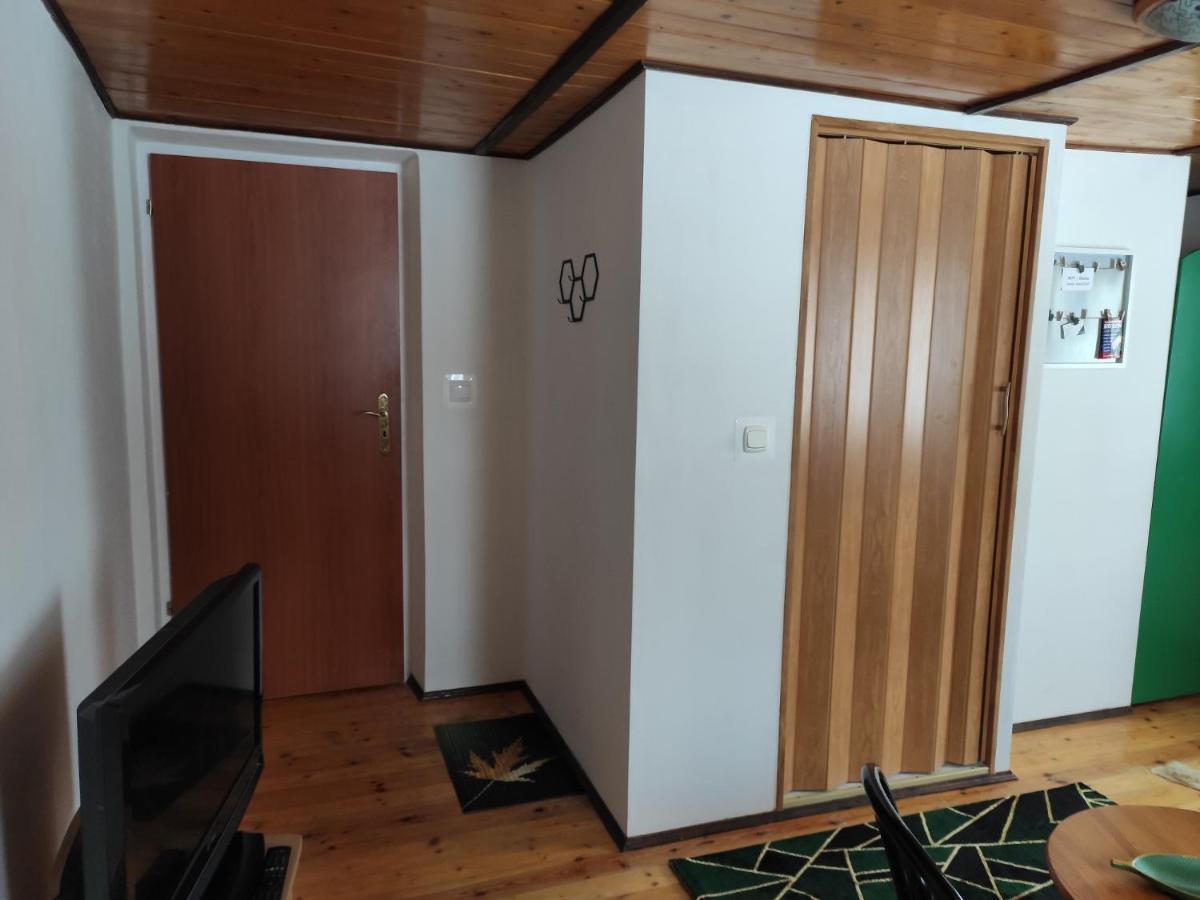 Home Stay Slotwinska Krynica Zdroj Luaran gambar