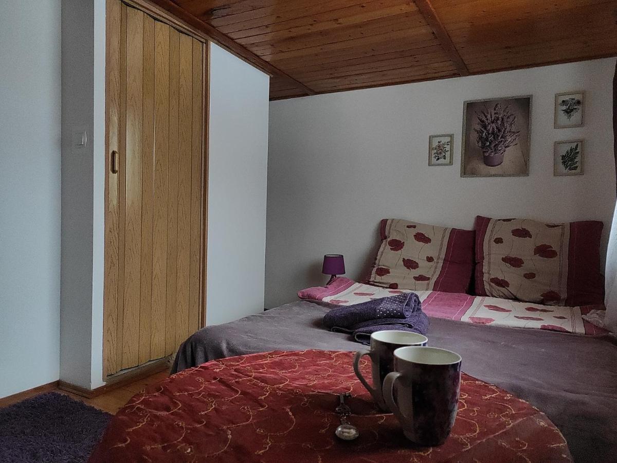 Home Stay Slotwinska Krynica Zdroj Luaran gambar